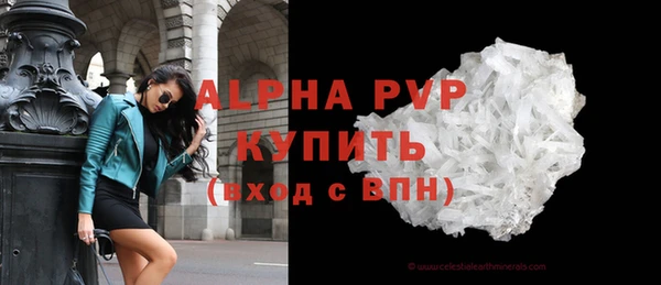 сатива Аркадак