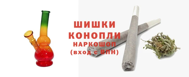 сатива Аркадак