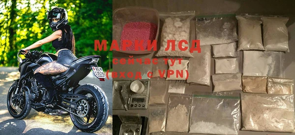 сатива Аркадак