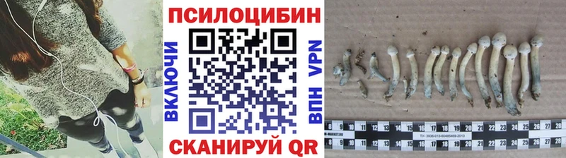 Псилоцибиновые грибы ЛСД  hydra зеркало  Реж 